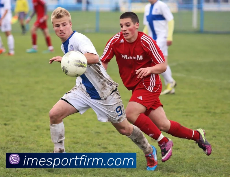 IM电竞平台生态图